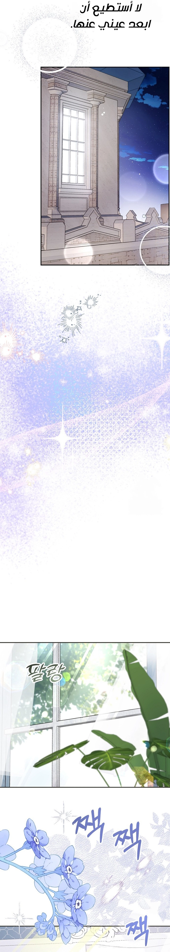 الصفحة 21