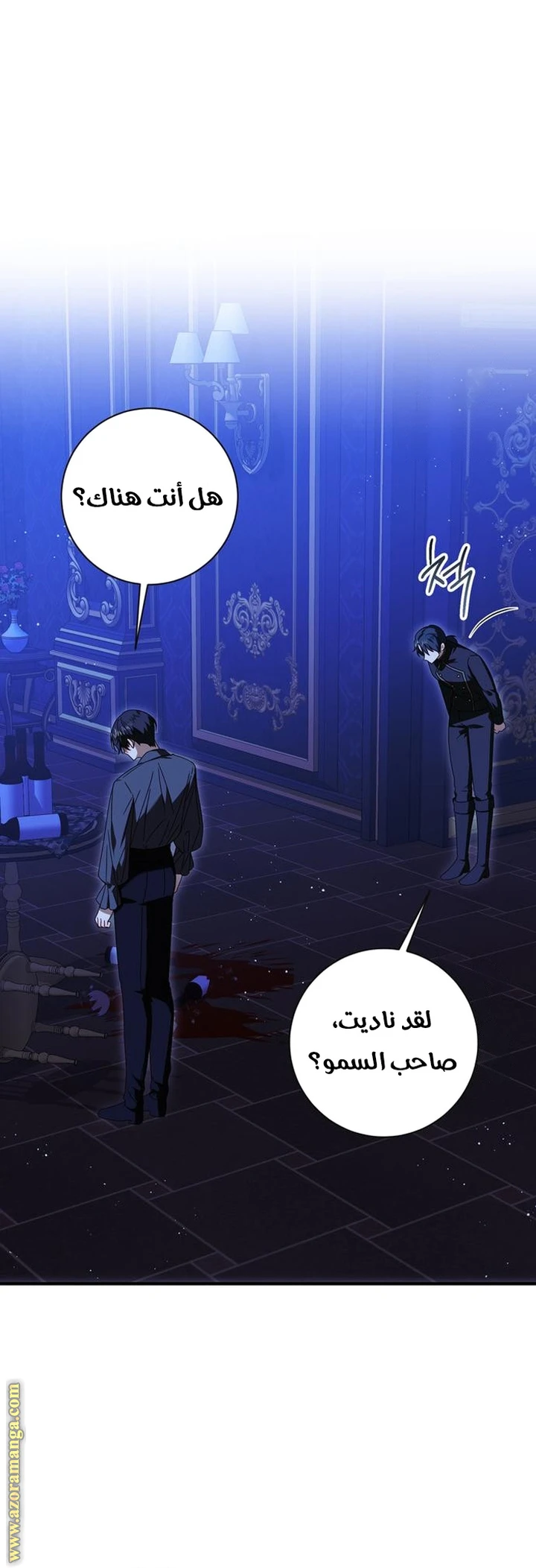 الصفحة 27