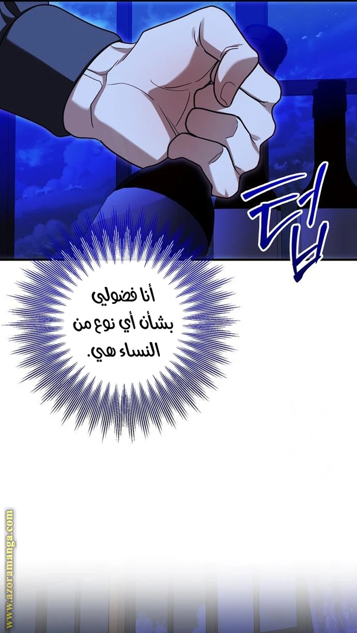 الصفحة 29