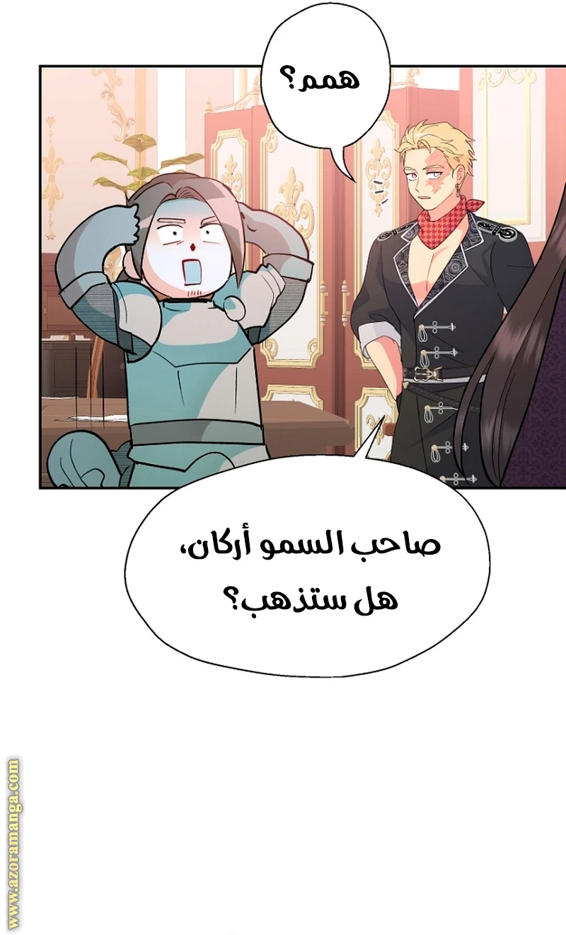 الصفحة 19