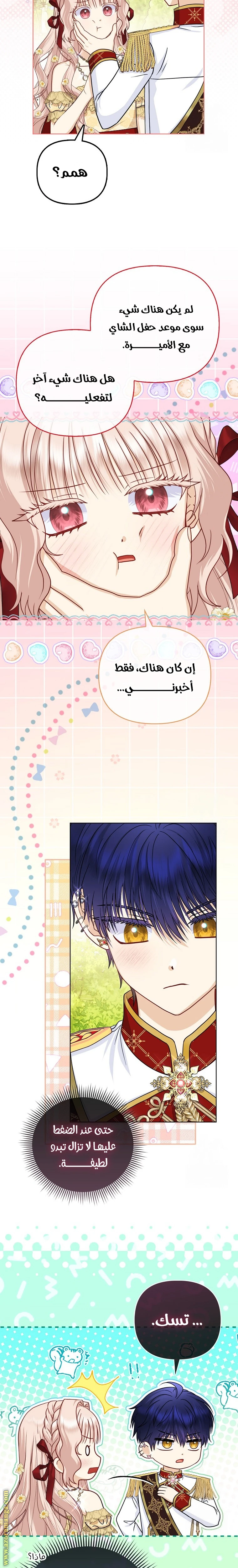 الصفحة 3