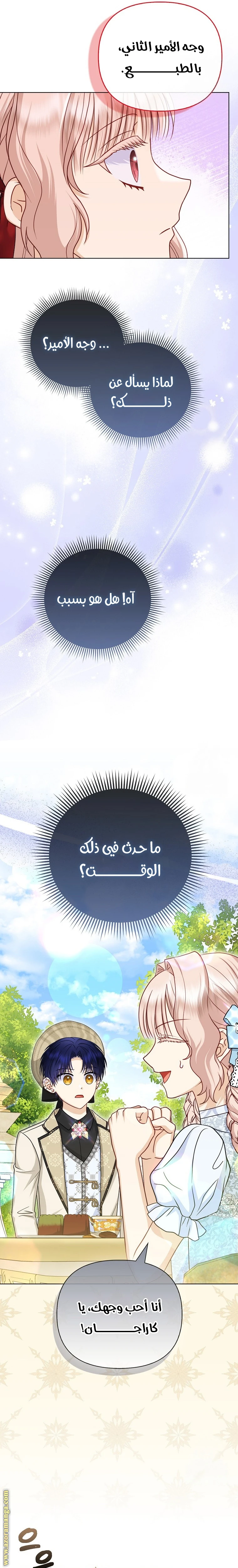 الصفحة 17