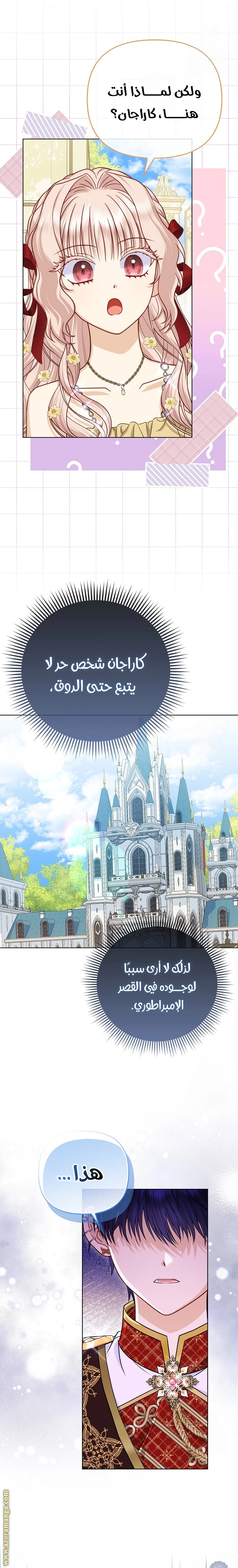 الصفحة 19
