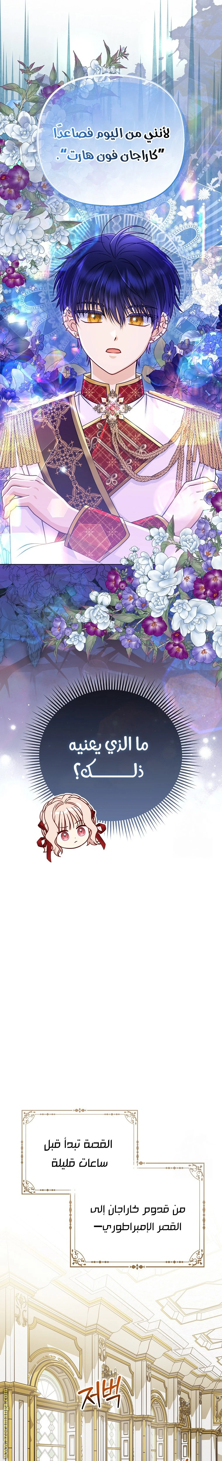 الصفحة 20