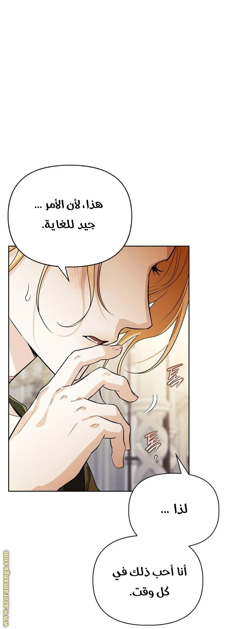 الصفحة 21