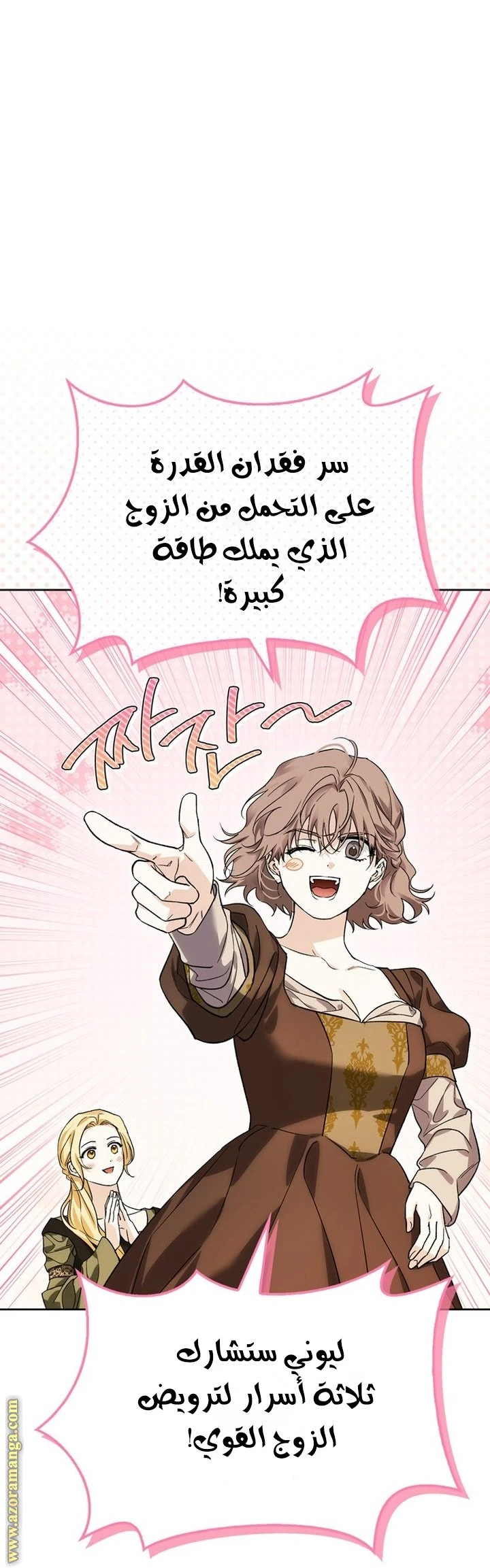 الصفحة 26