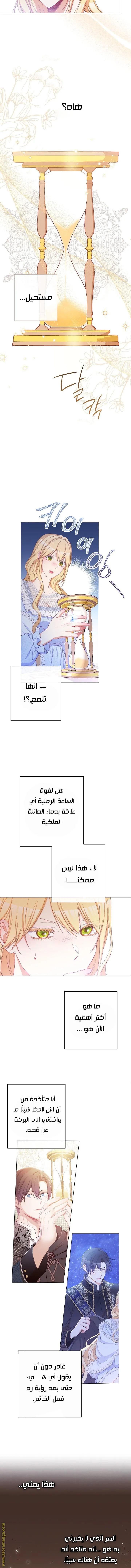 الصفحة 11