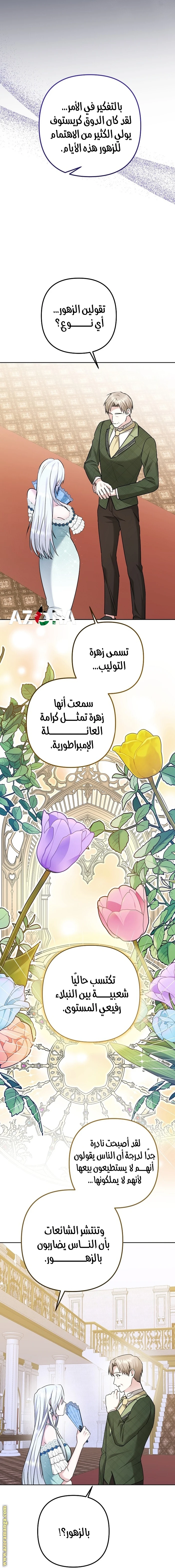 الصفحة 24