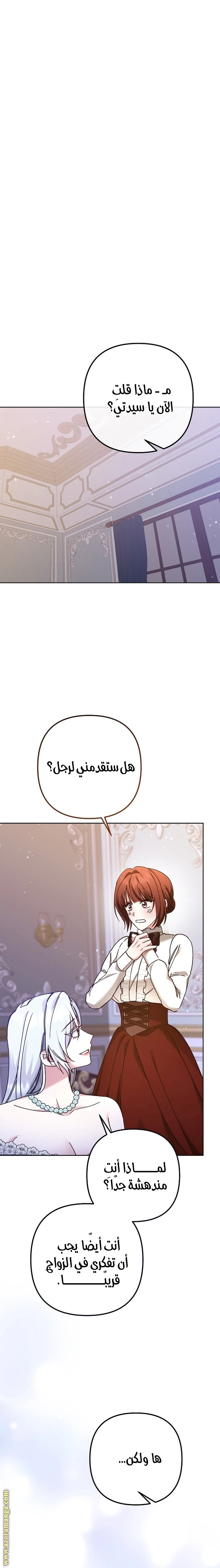 الصفحة 28