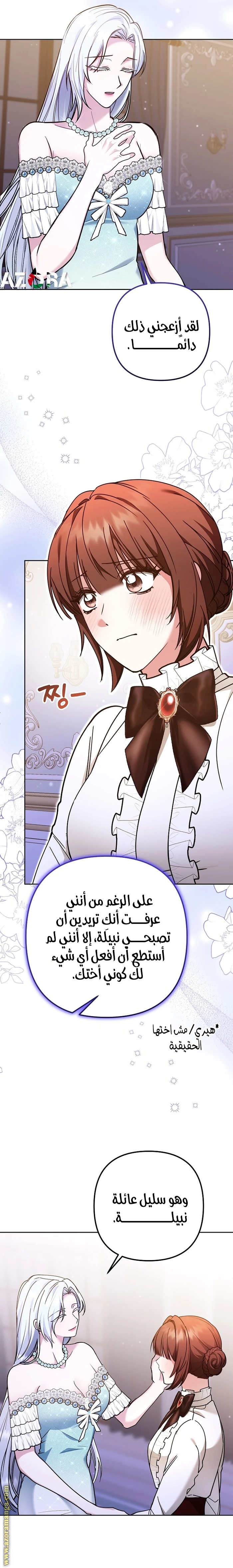 الصفحة 29