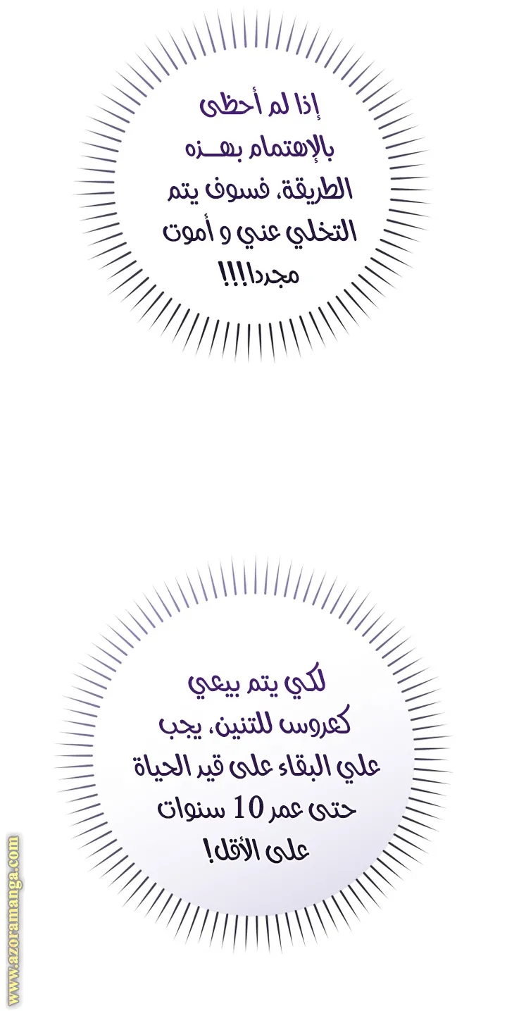 الصفحة 37