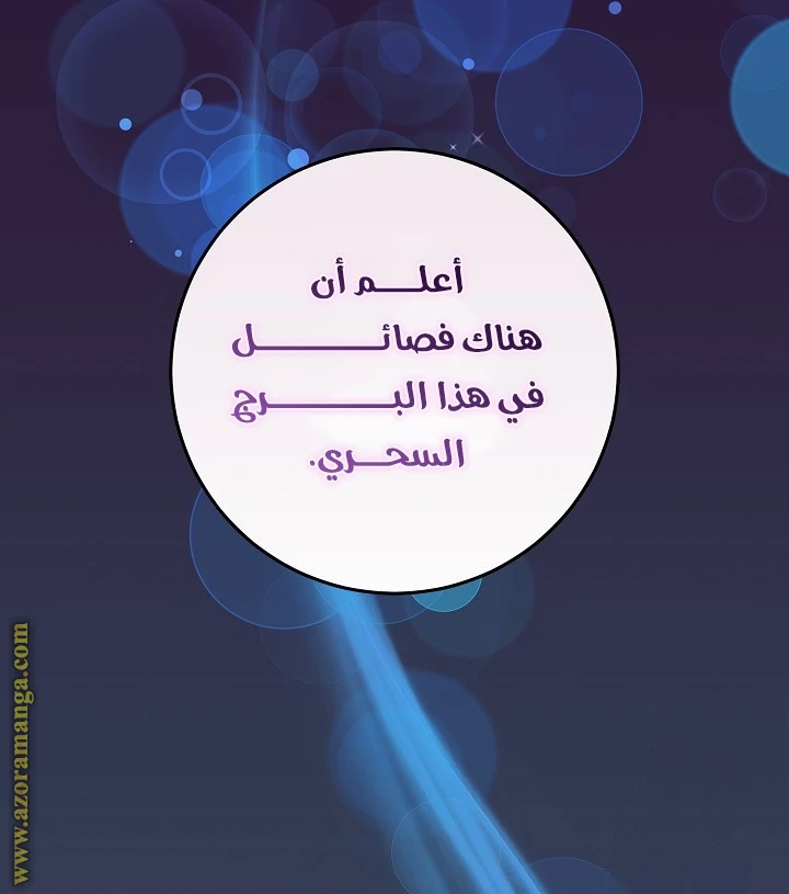 الصفحة 25