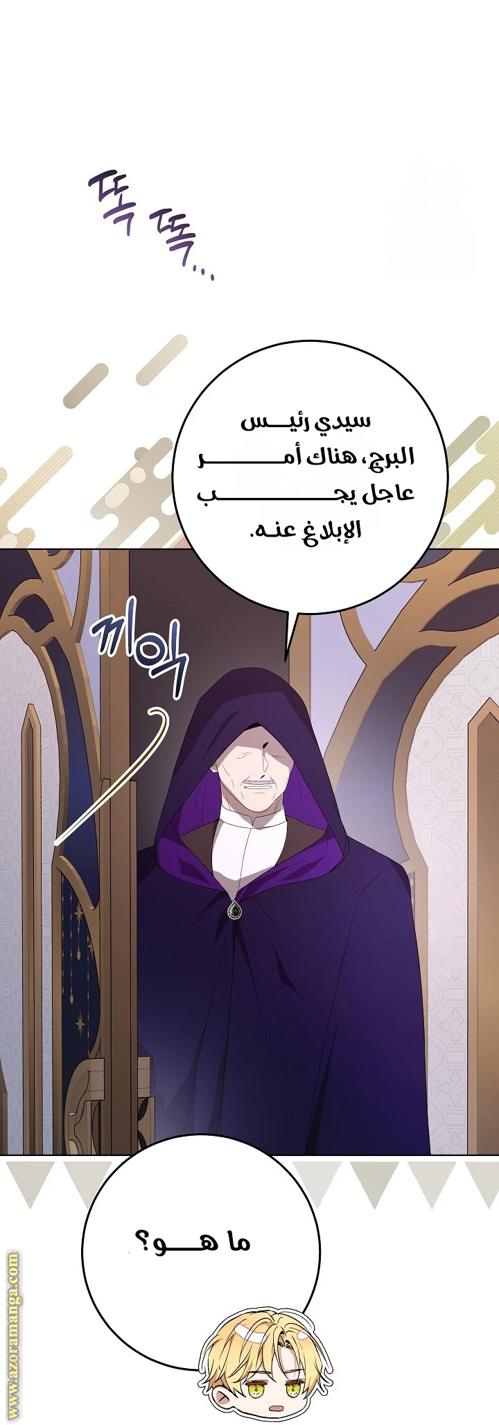 الصفحة 27