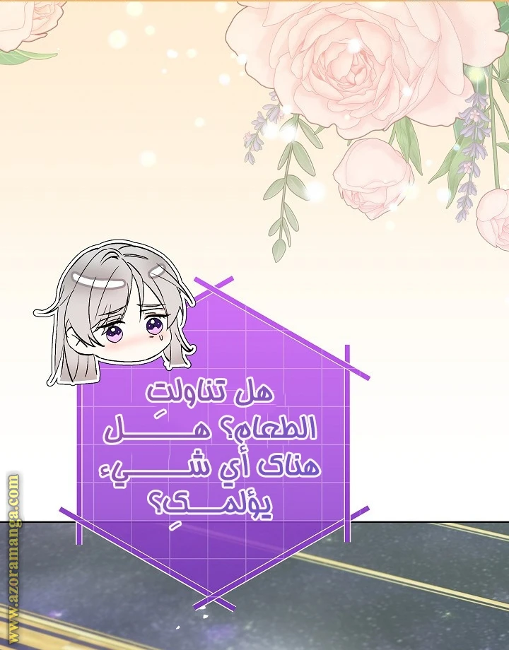 الصفحة 49