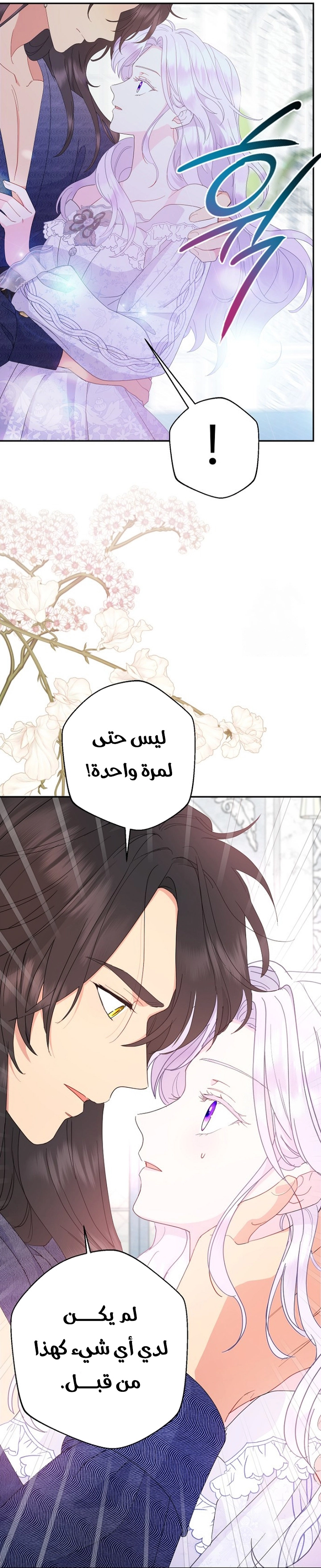 الصفحة 24
