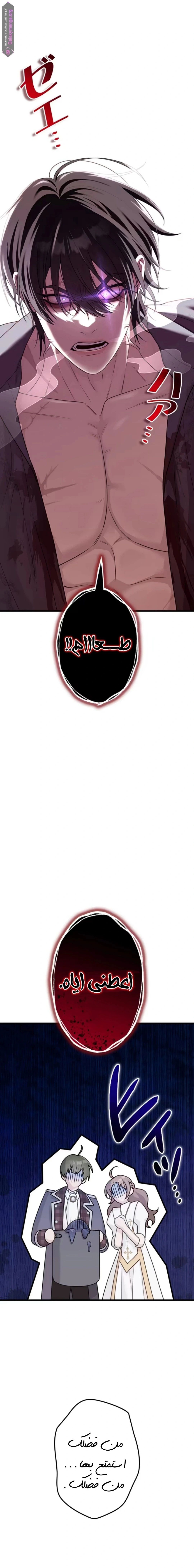 الصفحة 14