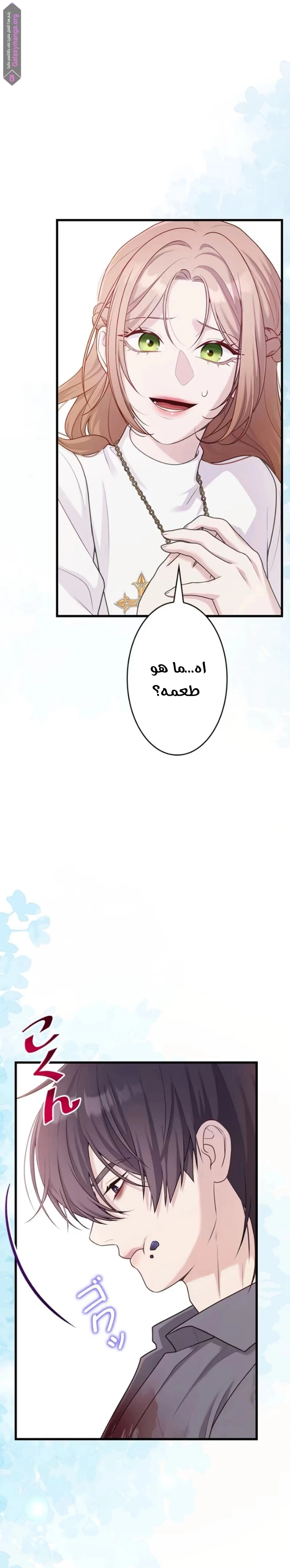 الصفحة 17