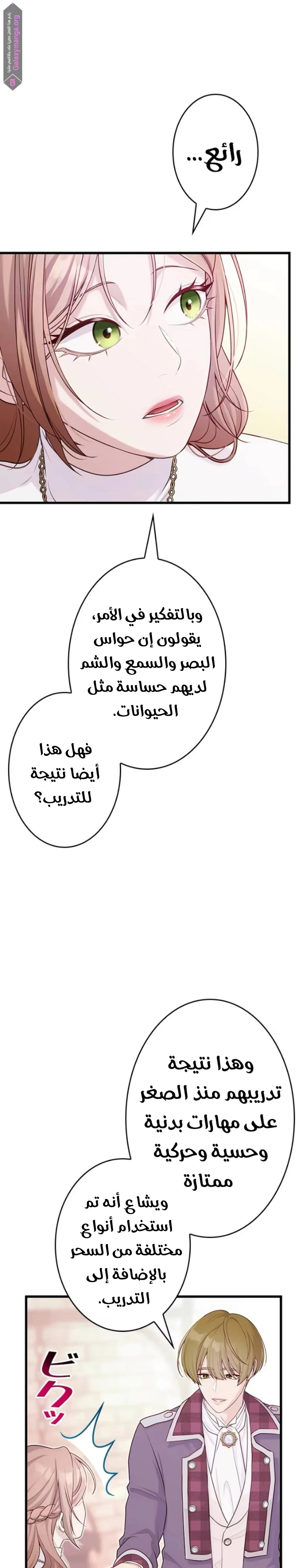 الصفحة 20