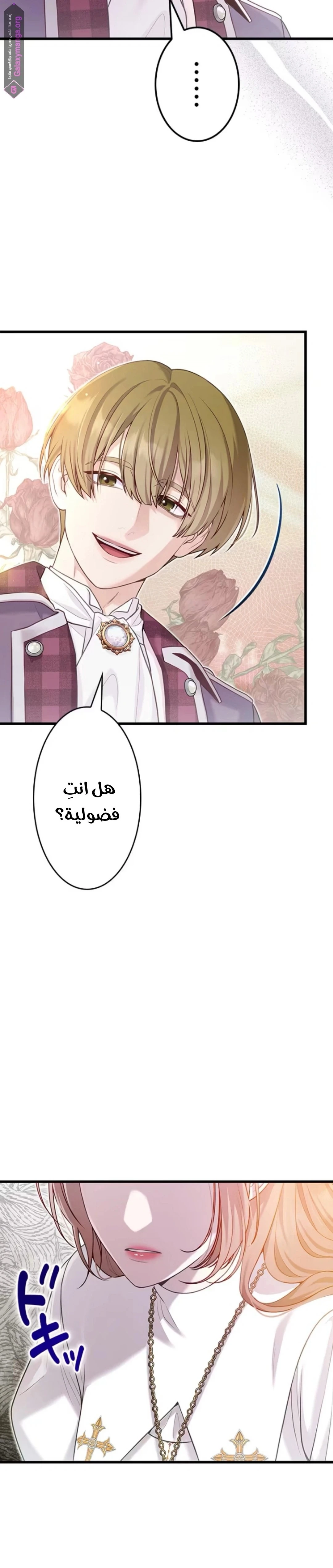 الصفحة 23