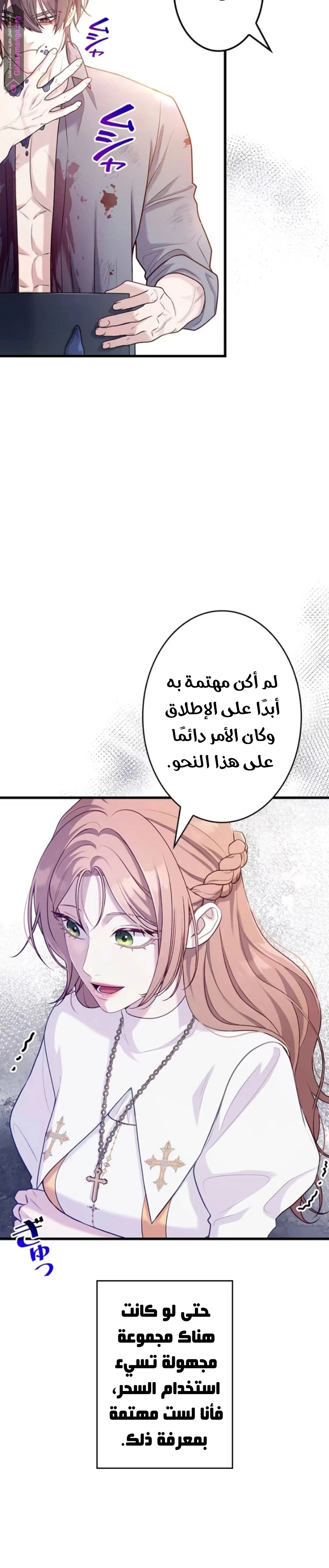 الصفحة 25