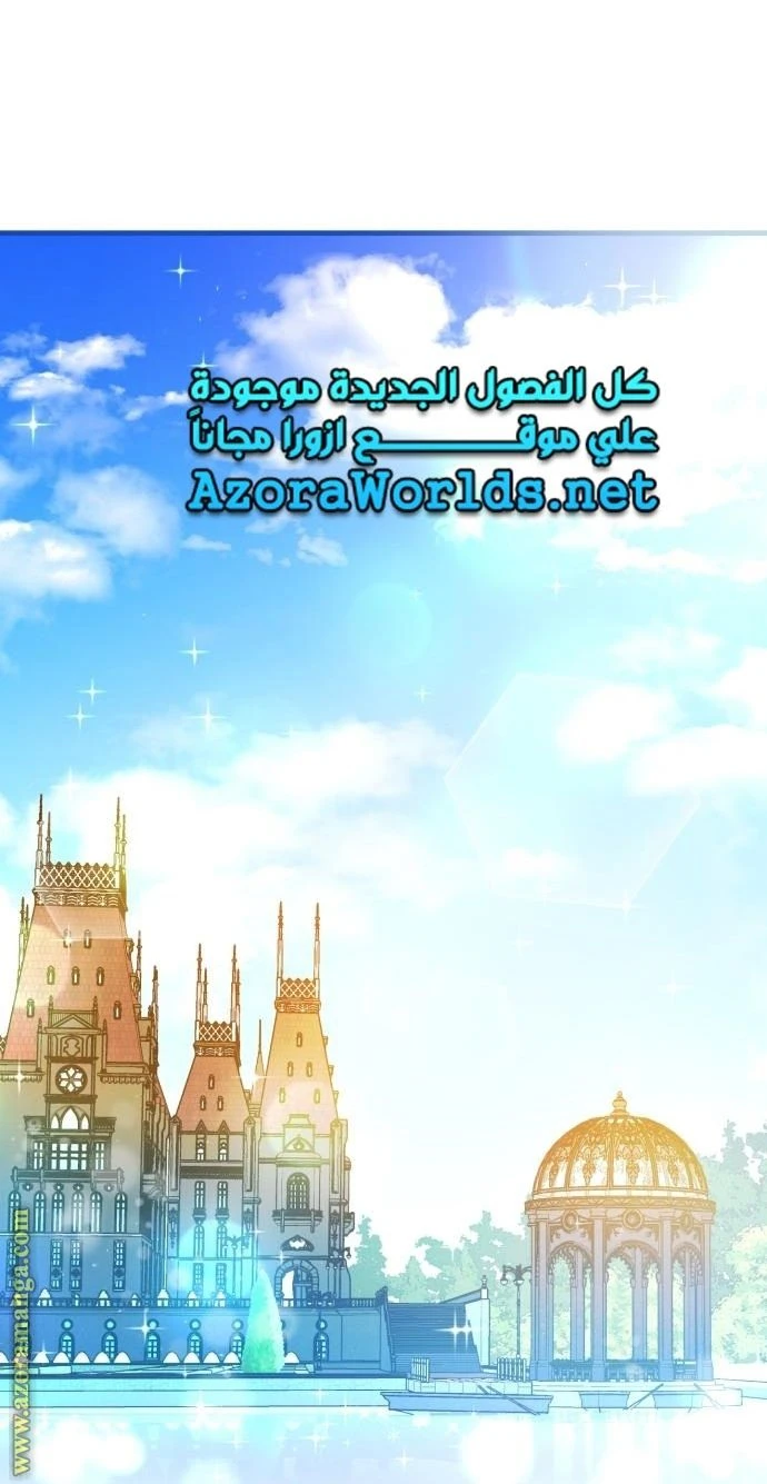 الصفحة 29