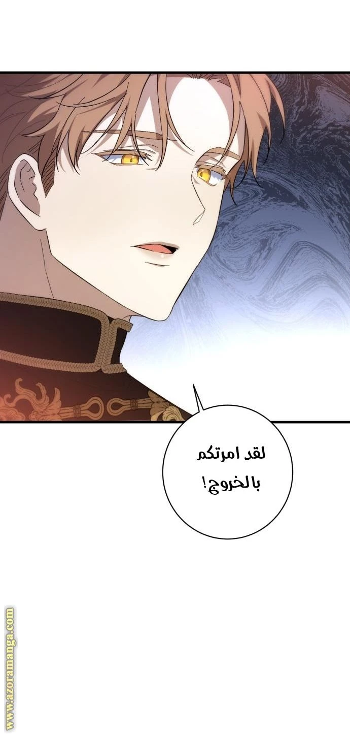 الصفحة 47