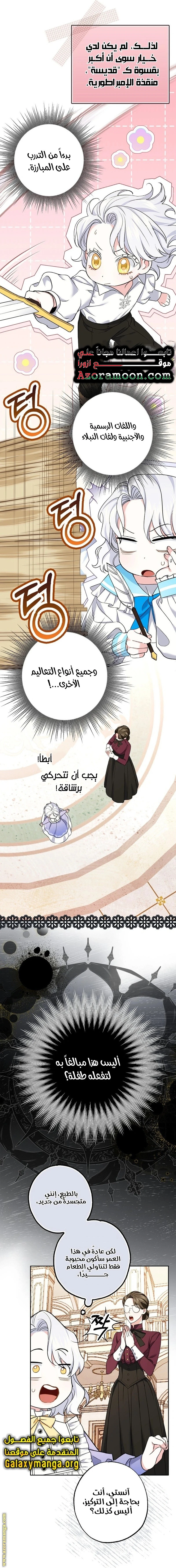 الصفحة 17