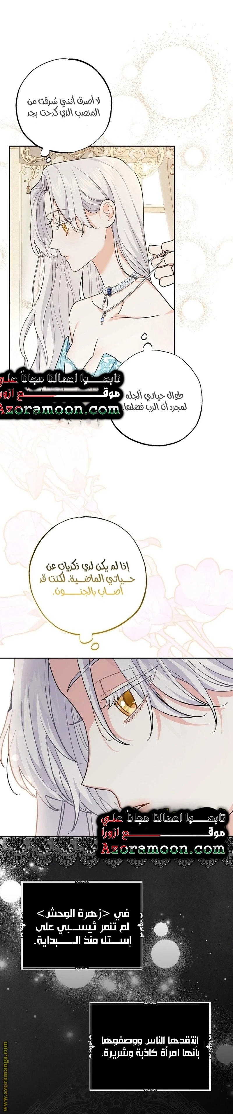 الصفحة 24
