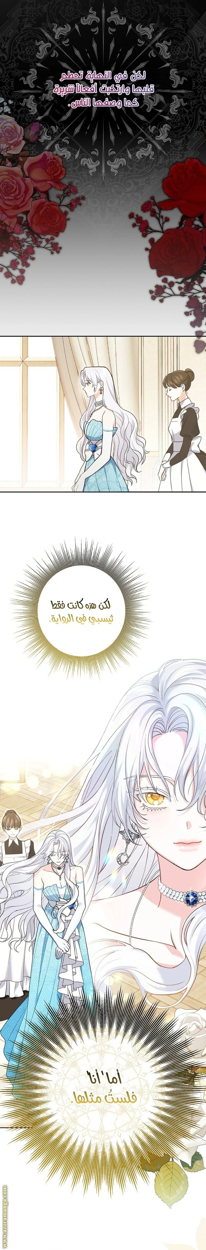 الصفحة 25