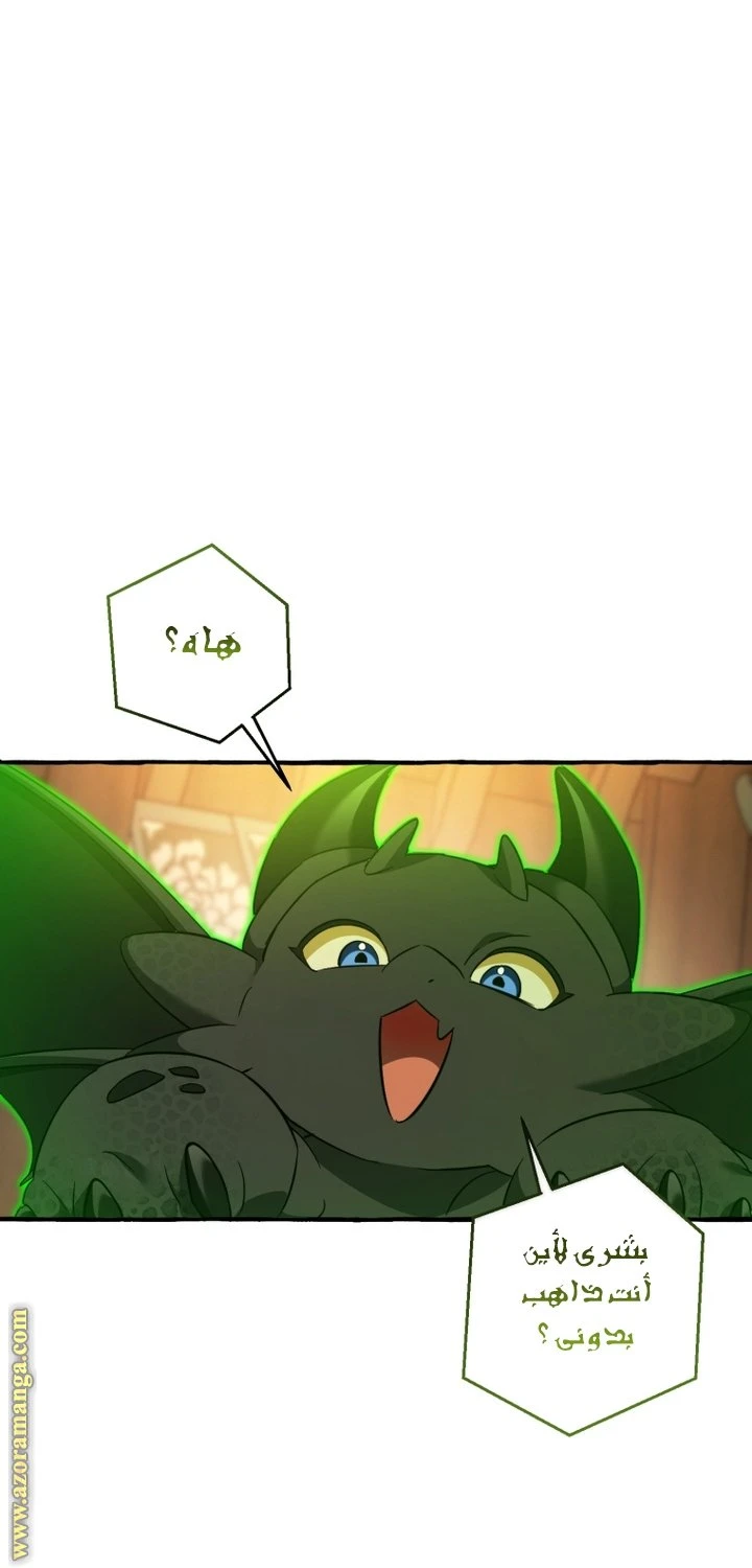 الصفحة 41