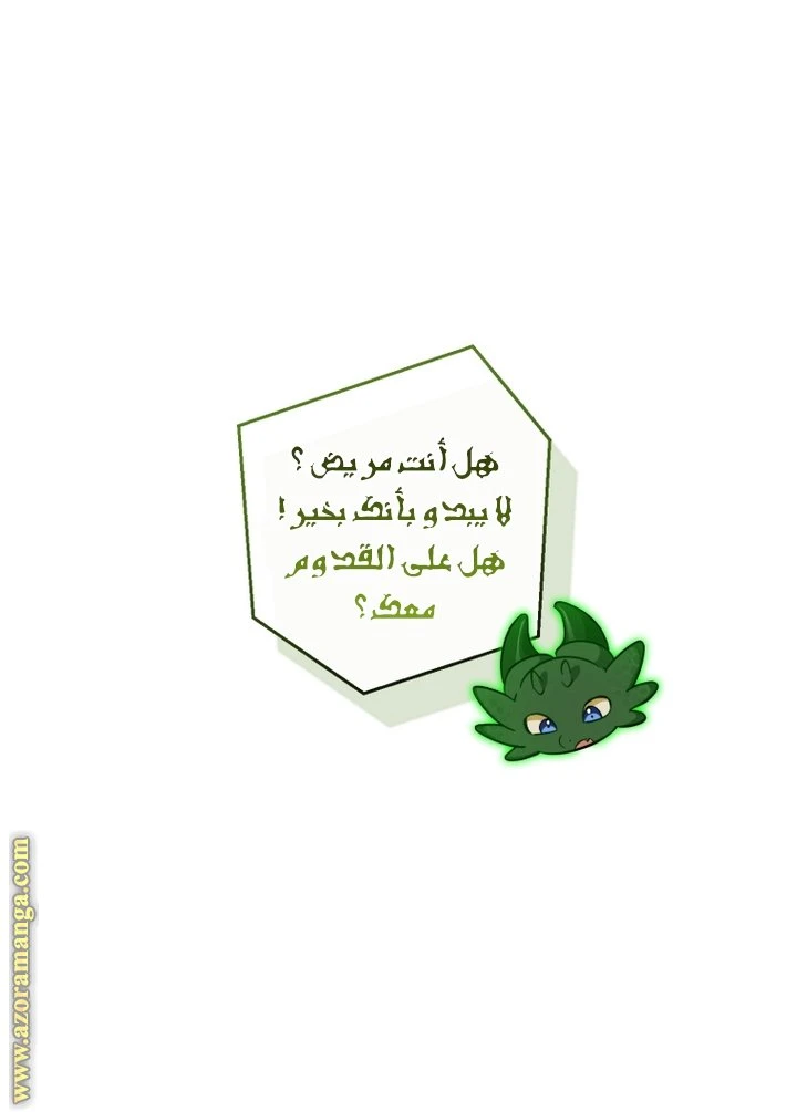 الصفحة 42