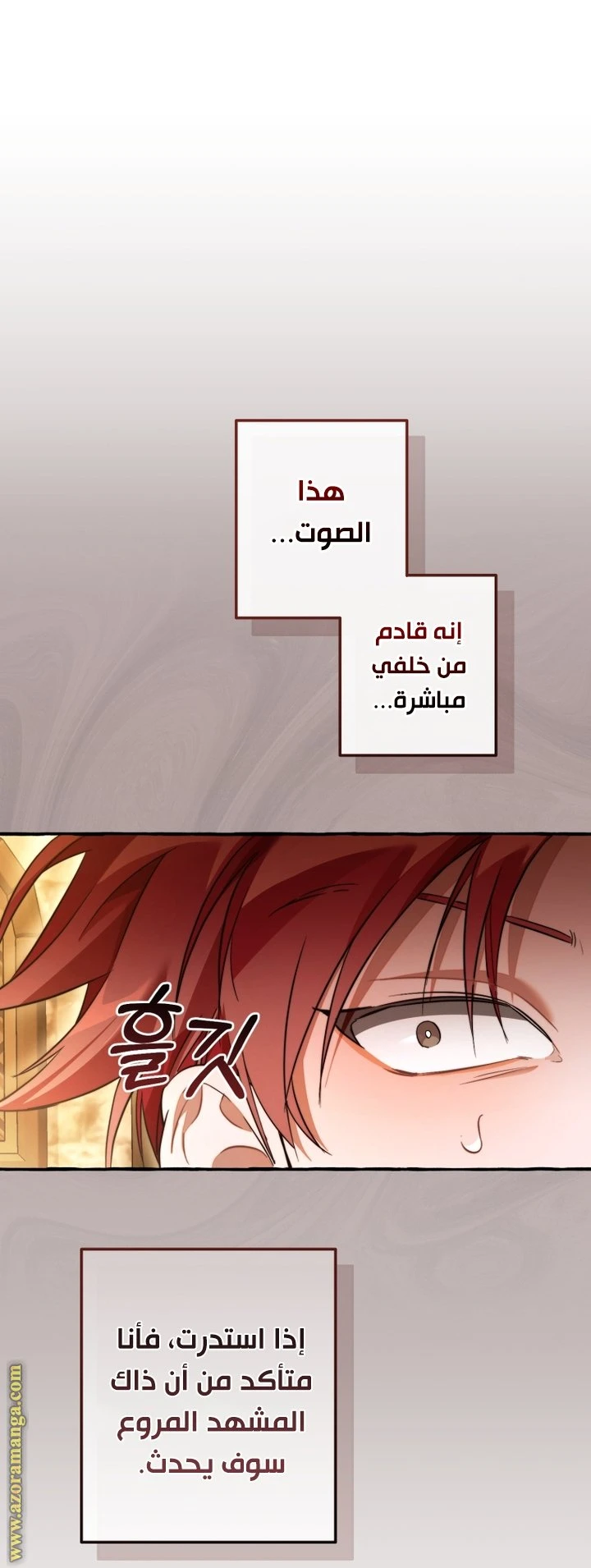 الصفحة 47