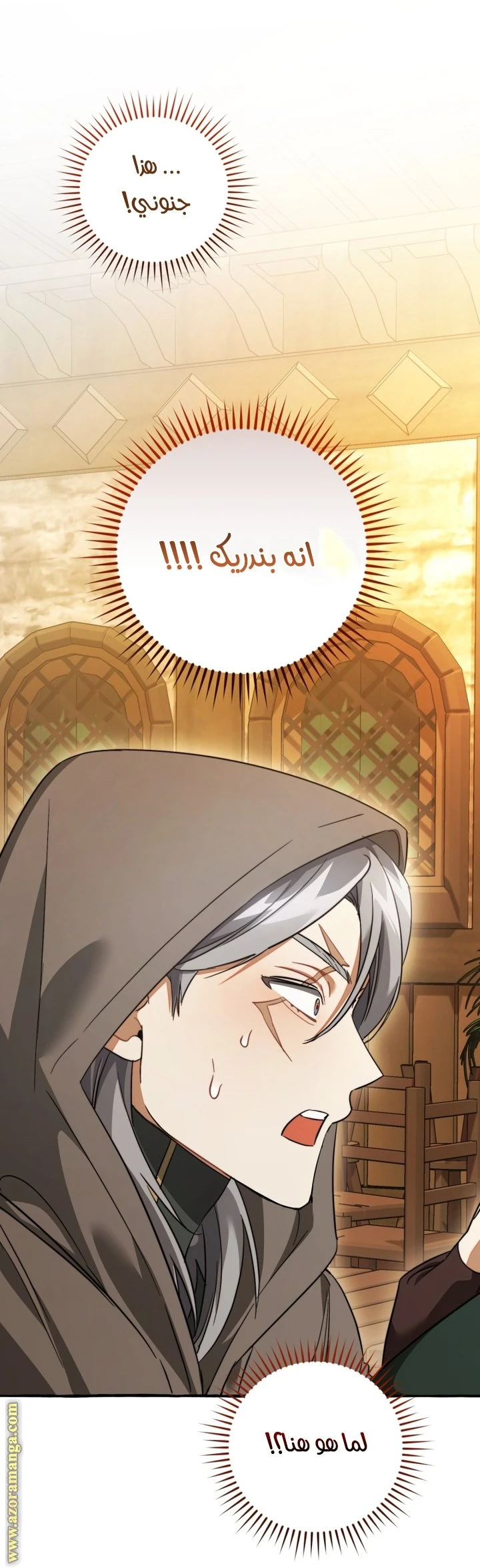 الصفحة 52