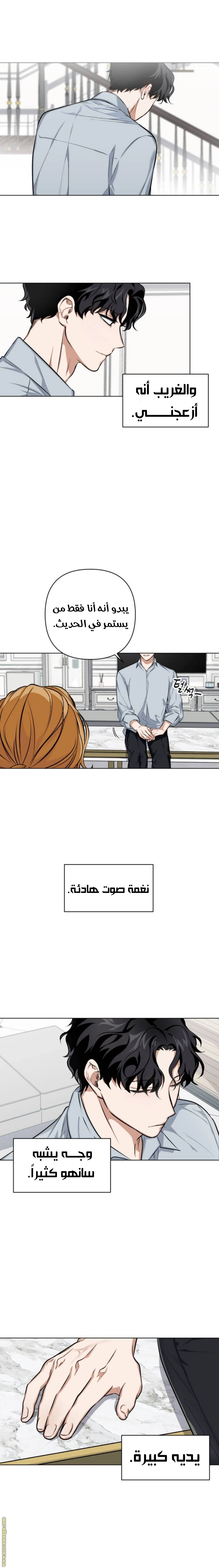 الصفحة 11