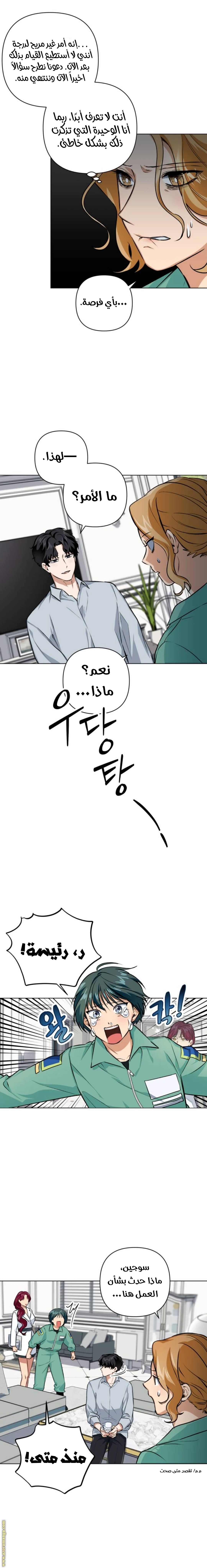 الصفحة 17