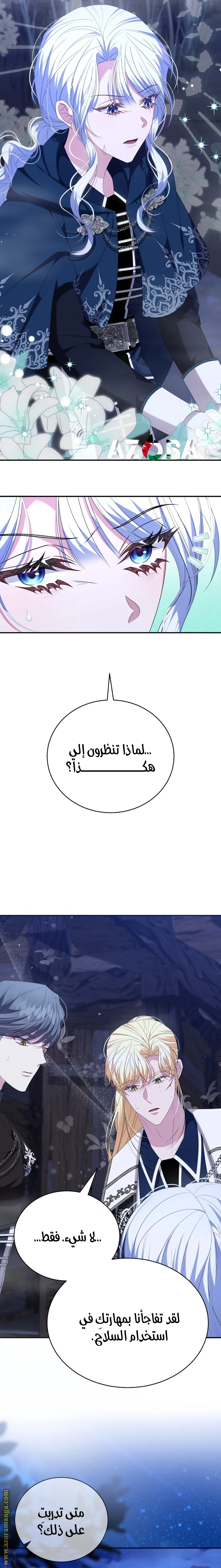 الصفحة 27