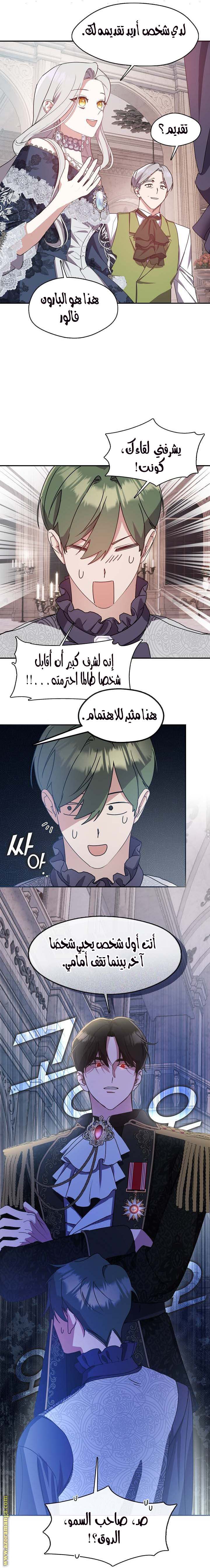 الصفحة 13