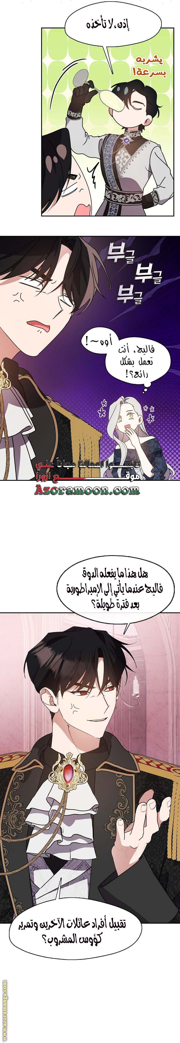 الصفحة 17