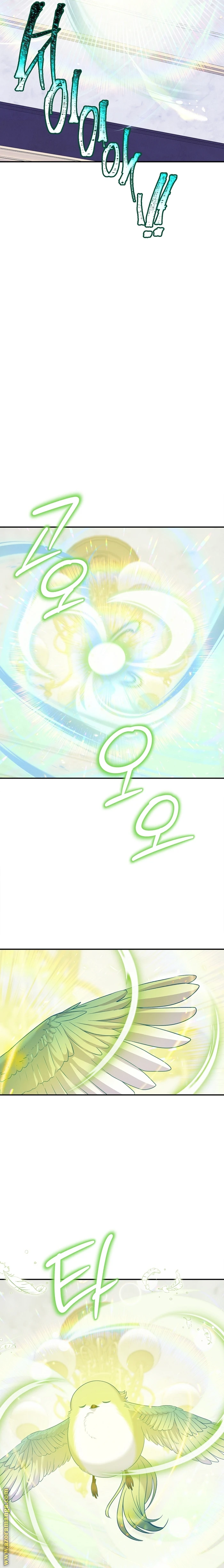 الصفحة 21