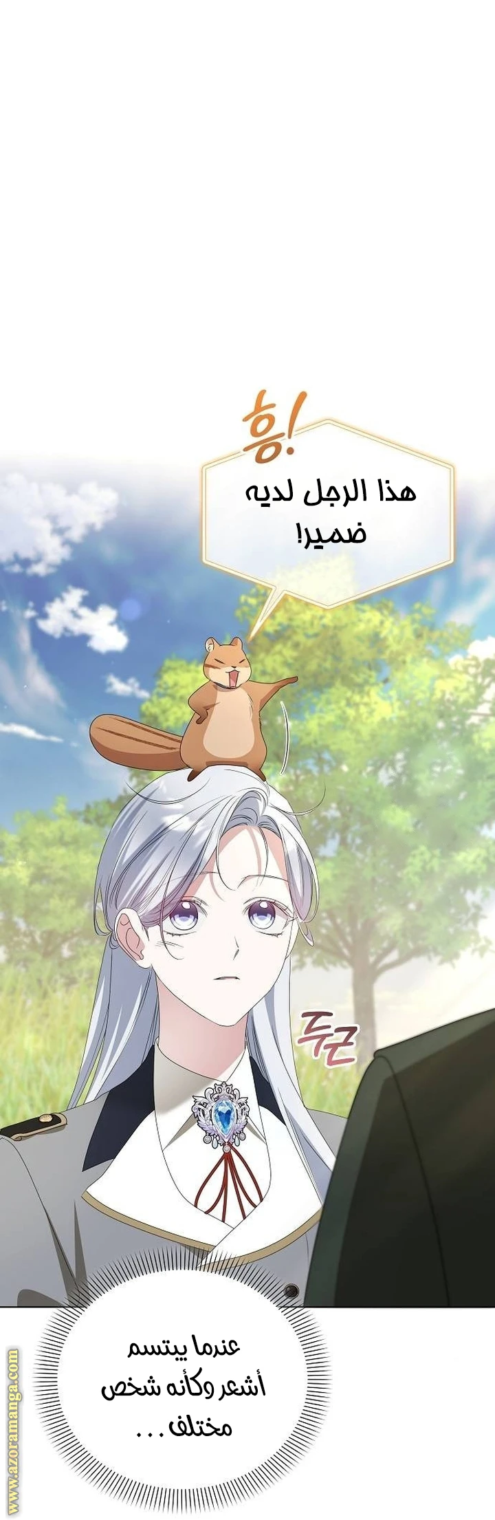 الصفحة 19