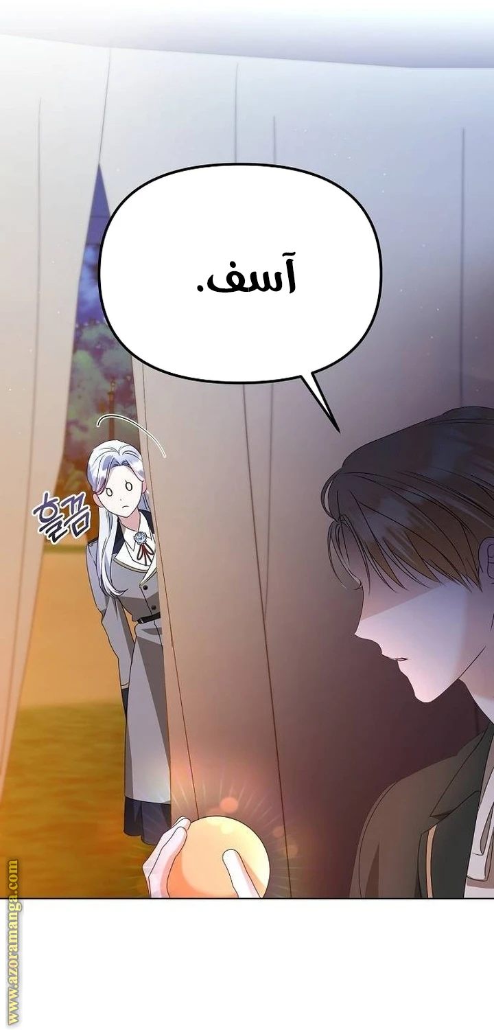 الصفحة 48