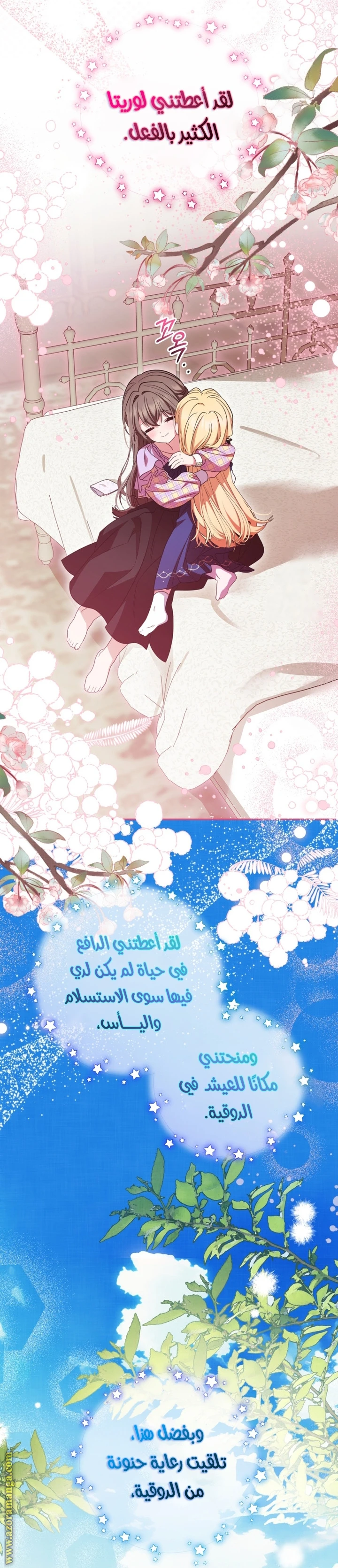 الصفحة 17