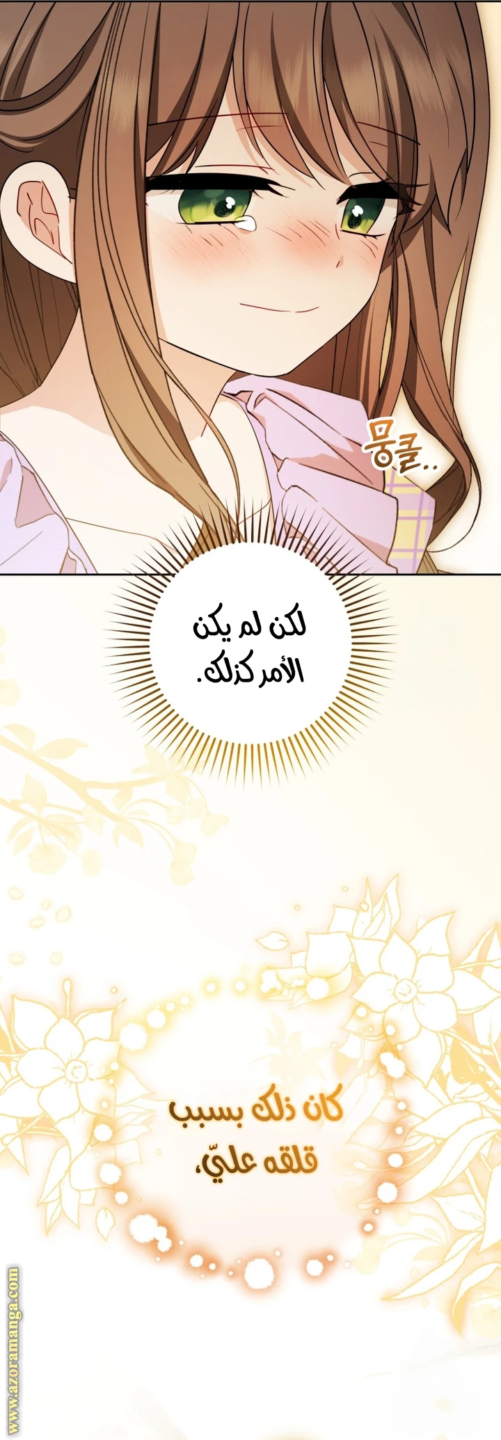 الصفحة 25