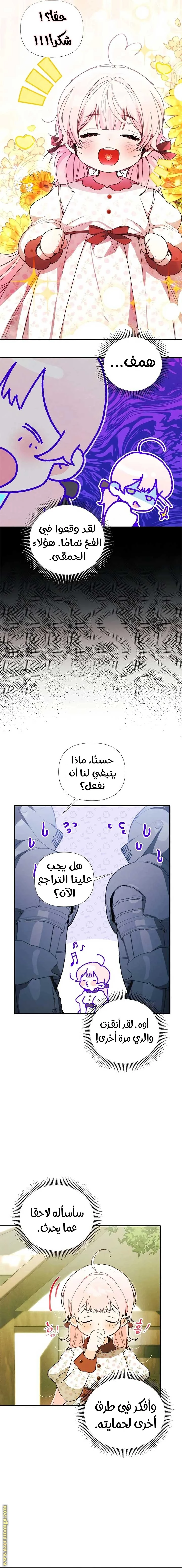 الصفحة 13