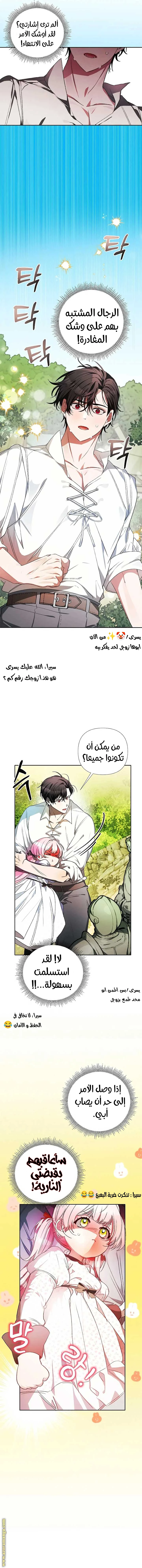 الصفحة 15