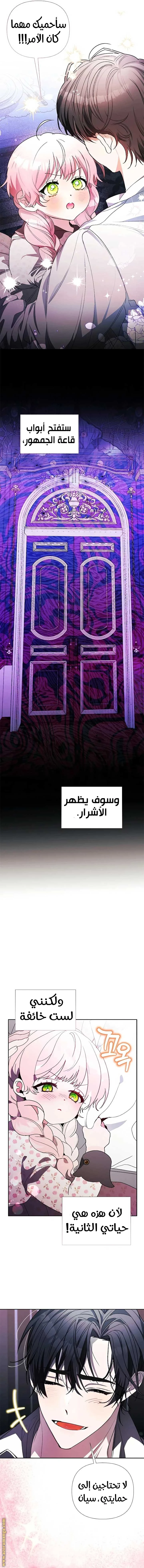 الصفحة 26