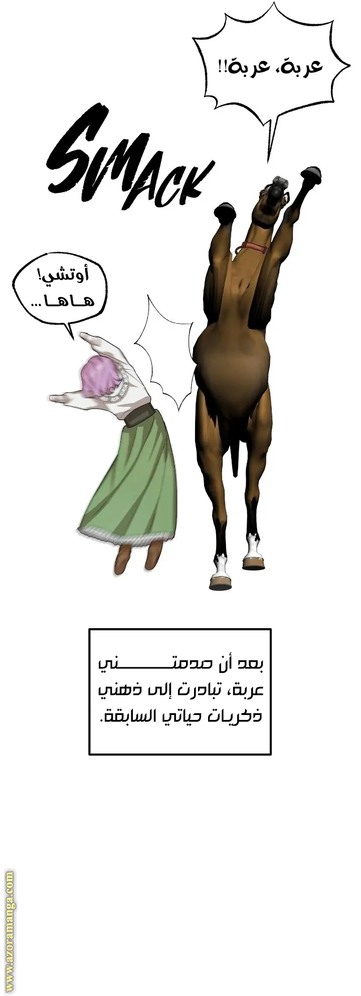 الصفحة 25