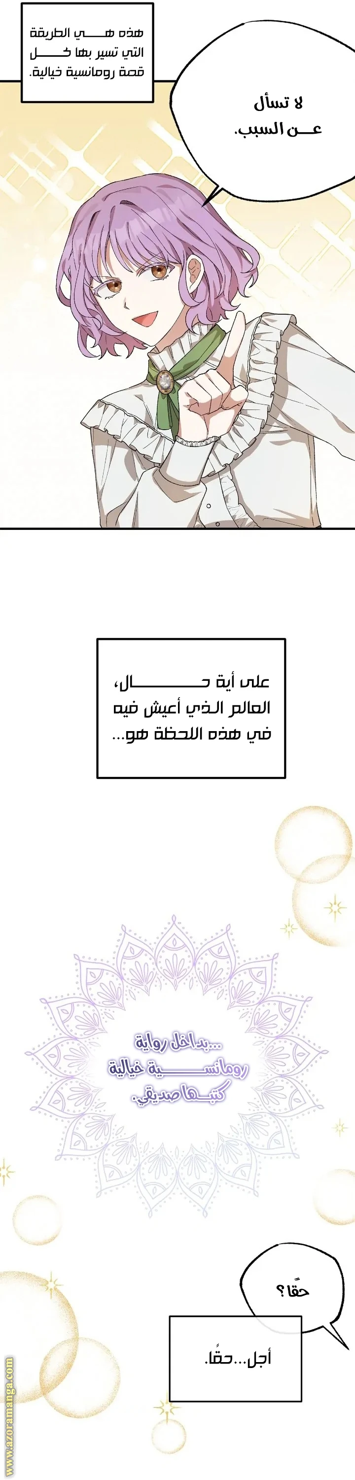 الصفحة 26