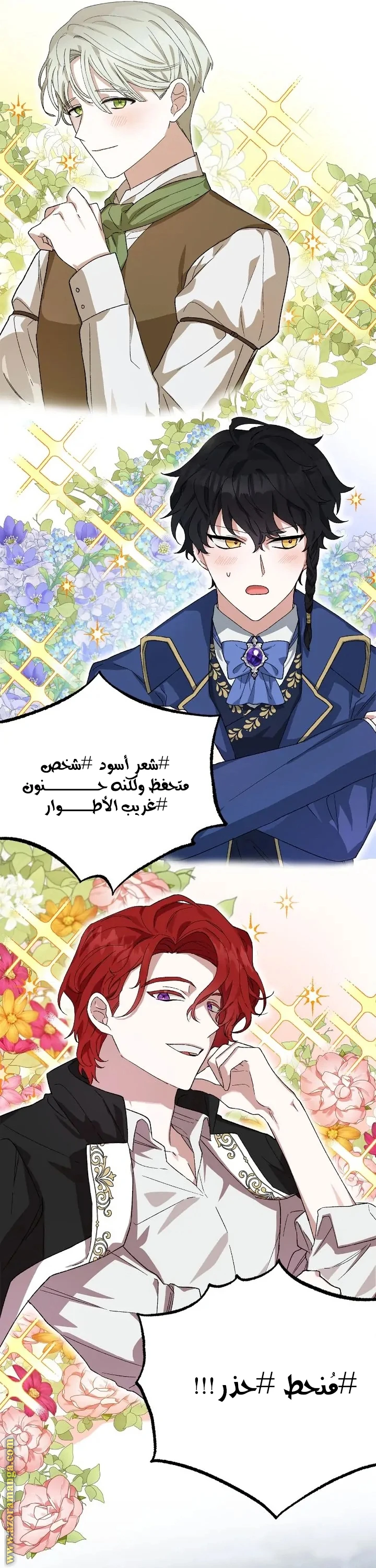 الصفحة 31