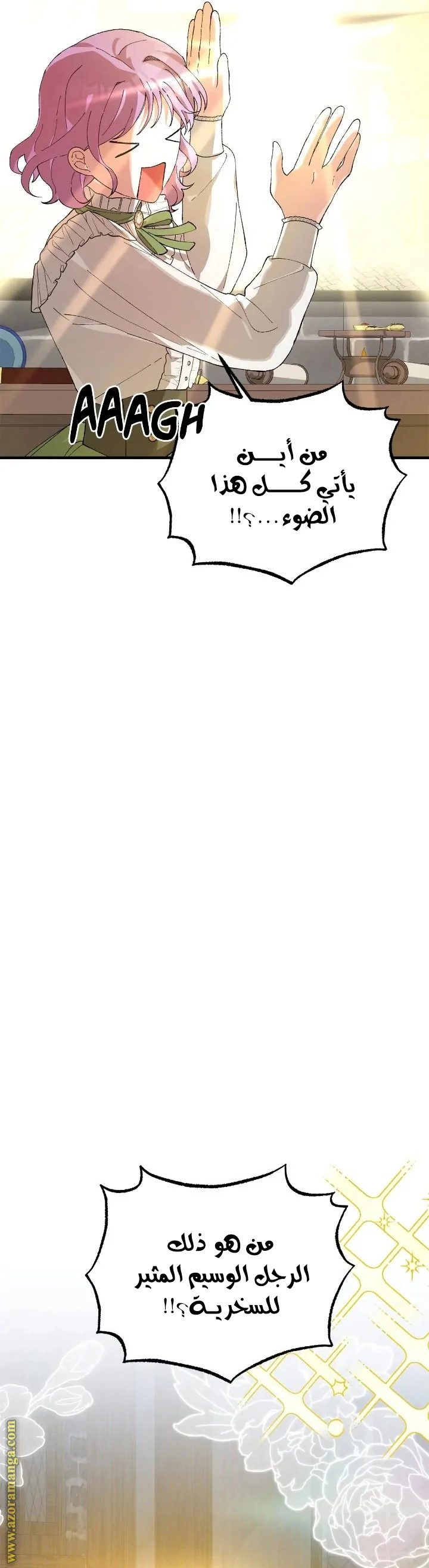 الصفحة 48